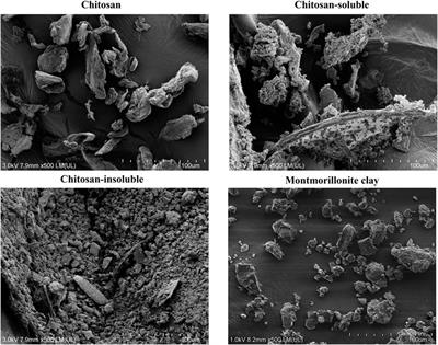 Insoluble chitosan complex as a potential adsorbent for aflatoxin B1 in poultry feed